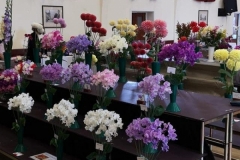 Cupar-Flower-Show-1