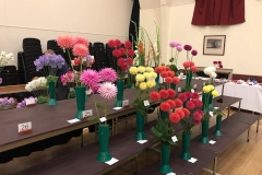 Cupar-Flower-Show-3