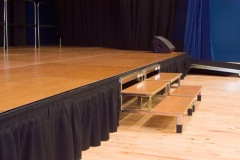 MD-Stage-1